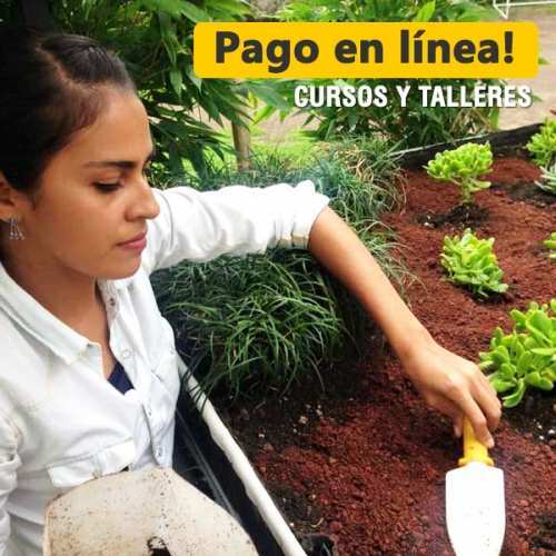 Pago en línea talleres y cursos  